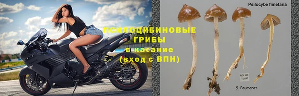 мет Алексин