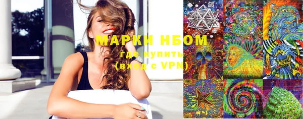 мет Алексин