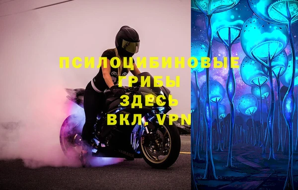 ГАЛЛЮЦИНОГЕННЫЕ ГРИБЫ Алзамай