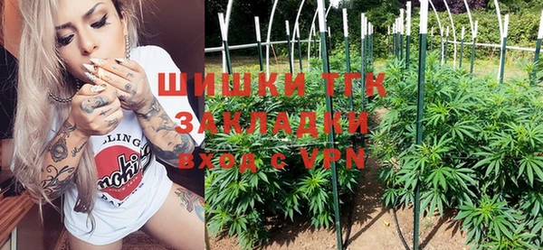 ГАЛЛЮЦИНОГЕННЫЕ ГРИБЫ Алзамай