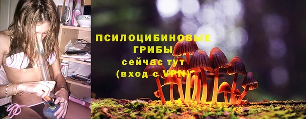 ГАЛЛЮЦИНОГЕННЫЕ ГРИБЫ Алзамай
