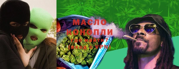 мет Алексин