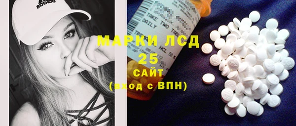 ГАЛЛЮЦИНОГЕННЫЕ ГРИБЫ Алзамай