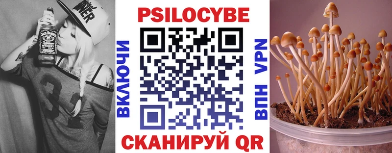 Псилоцибиновые грибы GOLDEN TEACHER Кропоткин